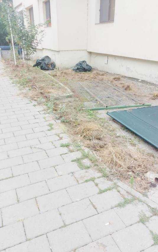 poltia amenzi Pitești