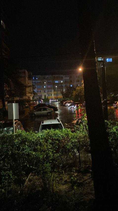 WhatsApp Image 2024 09 13 at 20.27.25 - (Video) Vremea rea a făcut prăpăd în Argeș! Inundații, copaci căzuți și trafic afectat