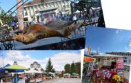 Foot: FB Primăria Orașului Mioveni.