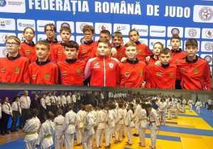 Sursă foto: CJ Argeș si CSM Pitesti.