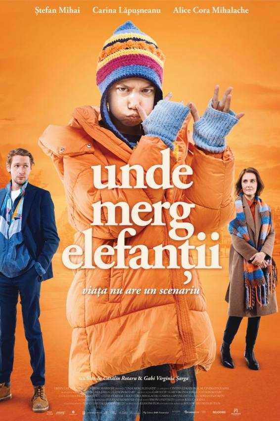 cinema Bucuresti filme 