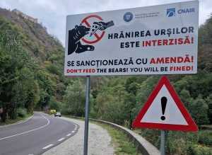 Primele 10 panouri de avertizare privind interzicerea hrănirii urșilor au fost instalate pe Transfăgărășan 1 460662285 839520631599867 2283680856755636760 n - Primele 10 panouri de avertizare privind interzicerea hrănirii urșilor au fost instalate pe Transfăgărășan