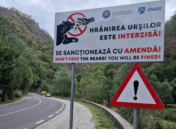 460662285_839520631599867_2283680856755636760_n