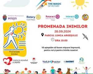 Pe 28 septembrie, piteștenii sunt așteptați la „Promenada Inimilor 2024” în Parcul Lunca Argeșului 1 75a907f1 4ccd 447f 81b7 fae8e43d4add - Pe 28 septembrie, piteștenii sunt așteptați la „Promenada Inimilor 2024” în Parcul Lunca Argeșului