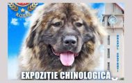 Expoziție chinologică