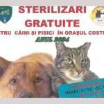 sterilizări gratuite