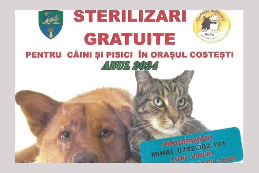 sterilizări gratuite sterilizări gratuite