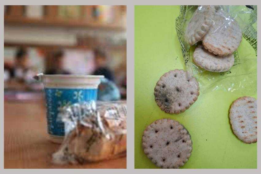 program corn si lapte