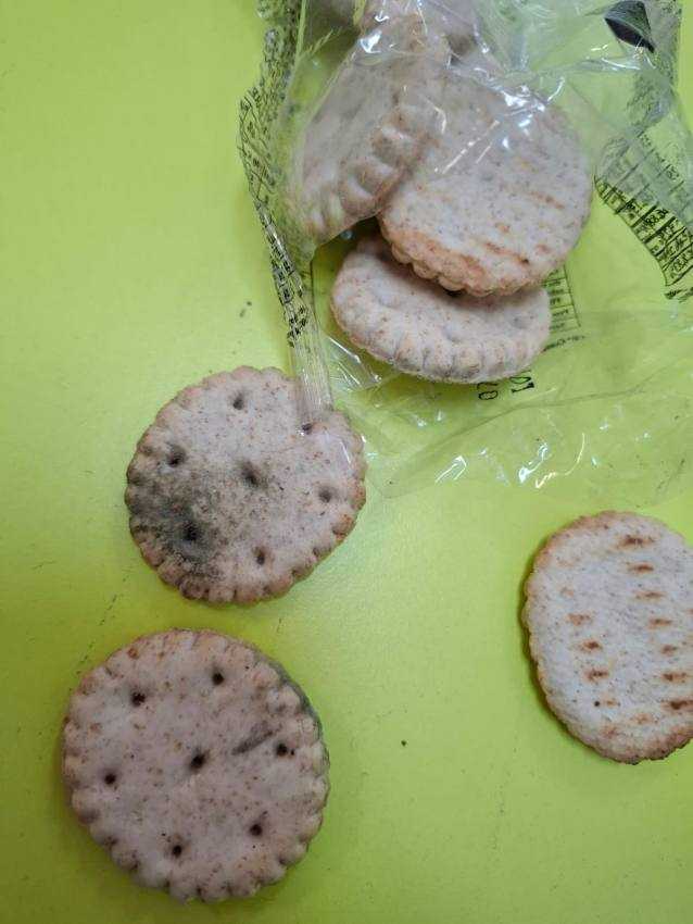 program corn si lapte