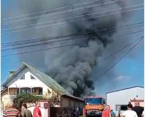 cats - (VIDEO) Incendiu puternic la o hală din Valea Stânii! O persoană transportată la spital