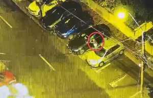 cats - Percheziții în Capitală! Fura oglinzile retrovizoare de la mașinile de lux