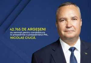 Sursă foto: FB PNL Argeș