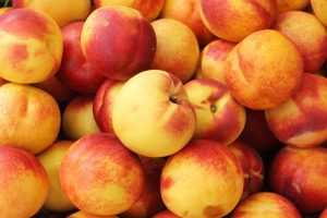 NDAmaGFzaD02ZGEzMTMyYTFmNjc5MGI2MzViYzU0YmYwNzdiZGVmYw.thumb - Nectarine cu nivel ridicat de pesticide, retrase de la vânzare de ANPC