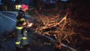 Atenție, șoferi! Copac căzut pe carosabil în Valea Mare Pravăț 2 0038ebff 1eda 44ee 8c33 b7e829d90cf7 - Atenție, șoferi! Copac căzut pe carosabil în Valea Mare Pravăț