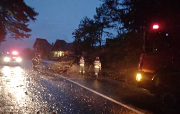 copac căzut pe DN 73