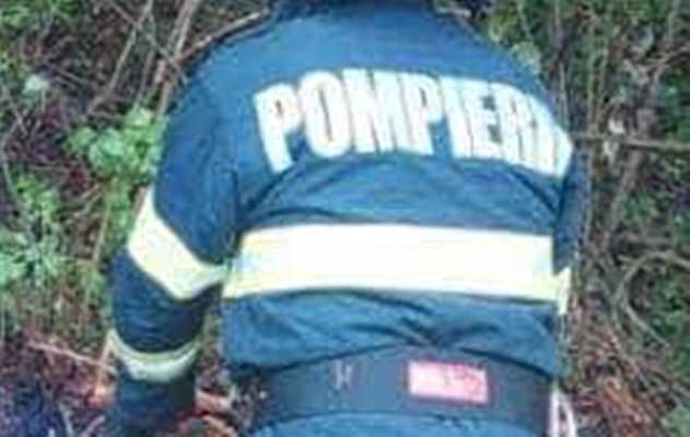 pompieri copac pompieri copac