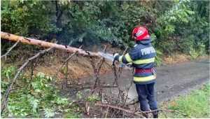 Bilanțul ploilor de astăzi: efecte în 35 de localităţi din 16 judeţe 3 cats - Bilanțul ploilor de astăzi: efecte în 35 de localităţi din 16 judeţe