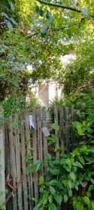 45804e06 376d 49e1 9544 4fb194cf1857 - Amenzi în valoare de 88.000 de lei date de polițiștii locali piteșteni în luna septembrie