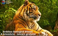zoo pitesti