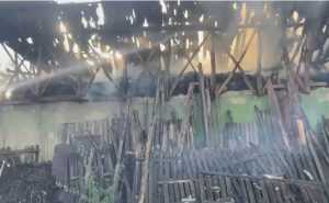 cats 2 - (VIDEO) Incendiu într-o gospodărie din Buzoești! Un fânar a luat foc