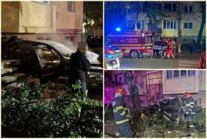 Șoferul de 24 de ani din Pitești care a intrat cu mașina într-un bloc, urmează să fie operat! 9 cats 4 - Șoferul de 24 de ani din Pitești care a intrat cu mașina într-un bloc, urmează să fie operat!
