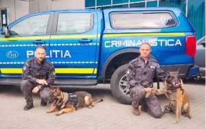 4 octombrie - Ziua Mondială a Animalelor 3 zx - 4 octombrie - Ziua Mondială a Animalelor