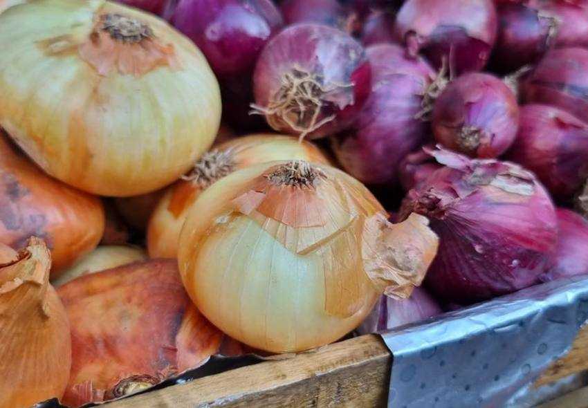 Sursă foto: FB MADR.