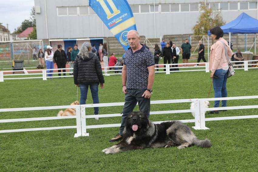 expozitie canina costesti 5