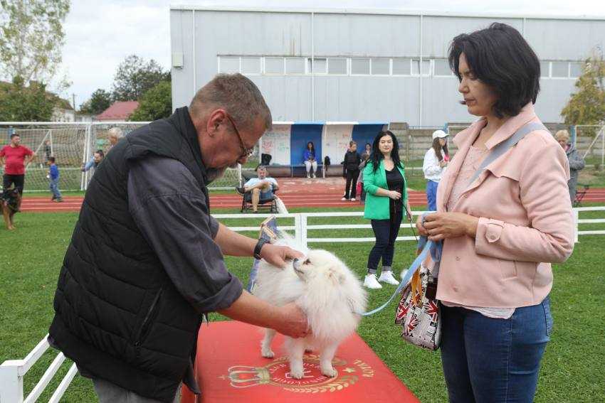 expozitie canina costesti_4