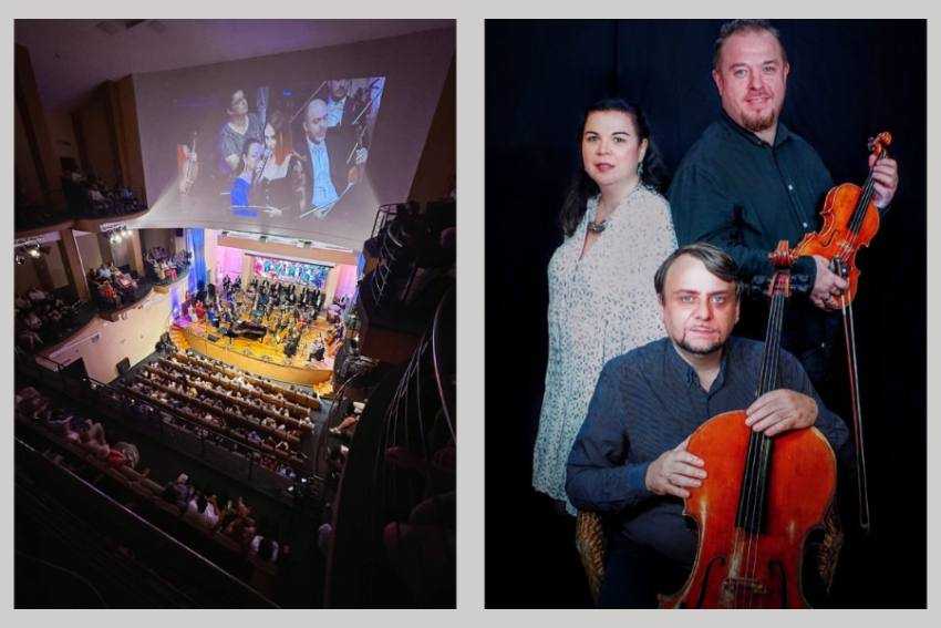 Musica Viva la filarmonica