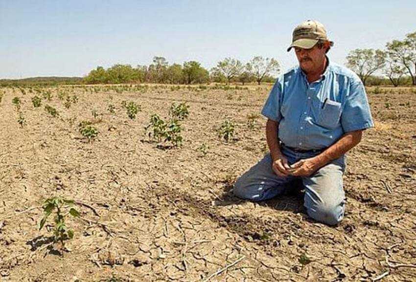 Sursă foto: FB Primăria orașului Mioveni