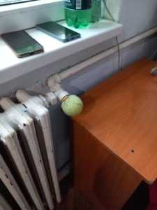 gandaci si mancare expirata ce a gasit anpc in sute de gradinite din tara e de neconceput 928253 - Nereguli grave în grădinițele din România! Inspectorii ANPC au dat amenzi de aproape 1 milion de lei