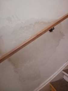 Nereguli grave în grădinițele din România! Inspectorii ANPC au dat amenzi de aproape 1 milion de lei 4 gandaci si mancare expirata ce a gasit anpc in sute de gradinite din tara e de neconceput 928256 - Nereguli grave în grădinițele din România! Inspectorii ANPC au dat amenzi de aproape 1 milion de lei