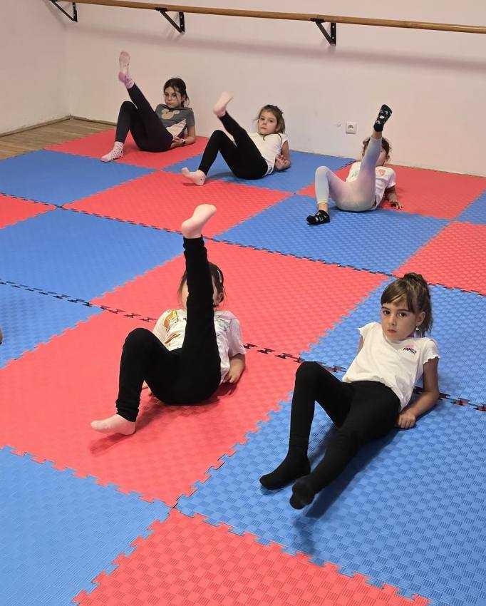 Club sportiv Titanii