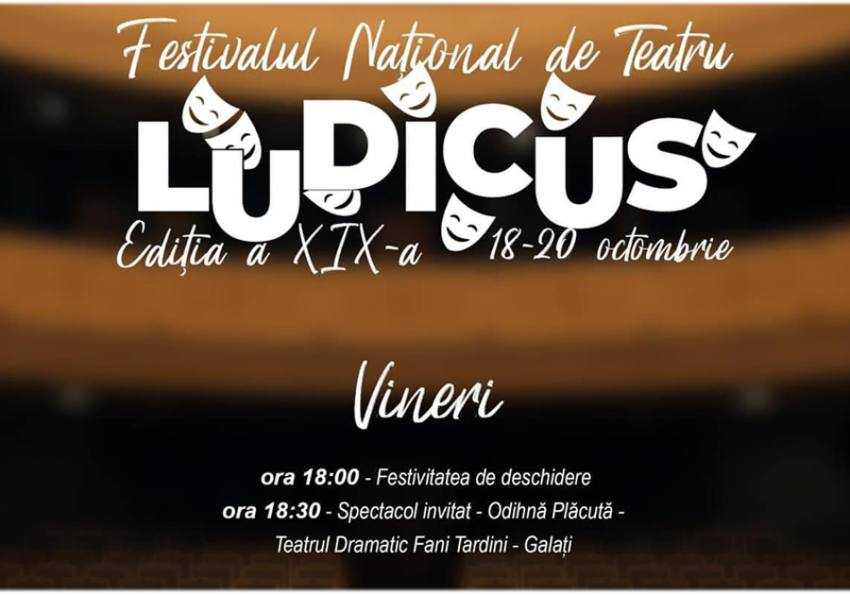 festivalul ludicu 1 Sursă foto: FB Primaria Or5asului Mioveni