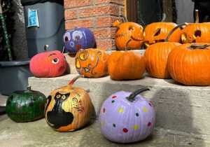 40a4488e 2a49 4b99 9ce5 0c5476e0aebb - Dovleci cu suflet pentru o faptă bună! Sâmbătă, la Argeș Mall!