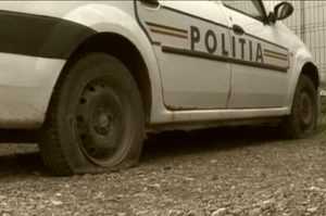 cats 2 - A făcut ravagii în curtea unei secții de poliție! Mașini vandalizate