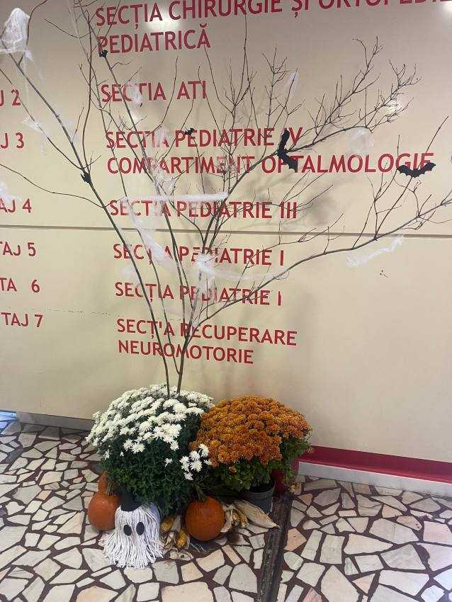 (VIDEO) Spitalul de Pediatrie Pitești decorat pentru prima dată de Halloween 1 Spitalul de Pediatrie Pitești decorat pentru prima dată de Halloween