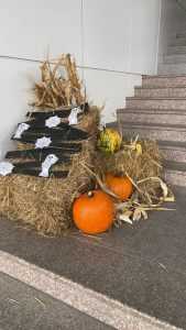 d70224bb a131 4f02 bad5 fbf2bd3b7fb8 - (VIDEO) Spitalul de Pediatrie Pitești decorat pentru prima dată de Halloween