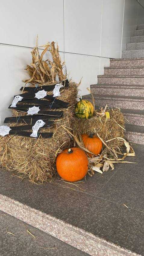 (VIDEO) Spitalul de Pediatrie Pitești decorat pentru prima dată de Halloween 3 d70224bb a131 4f02 bad5 fbf2bd3b7fb8 - (VIDEO) Spitalul de Pediatrie Pitești decorat pentru prima dată de Halloween