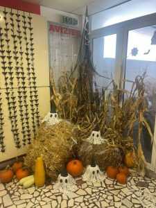fc0ebfd0 6363 424b bd8a 4658929cf72b - (VIDEO) Spitalul de Pediatrie Pitești decorat pentru prima dată de Halloween