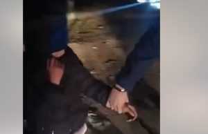 cats - Un copil de zece ani a plecat de două ori de acasă ca să strângă peturi pentru a face rost de bani