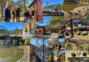 S-au termiant lucrările de reabilitare. Grădina Zoologică se întinde pe 12,5 ha, adăpostind peste 1800 de animale 1 Sursă foto: Primăria MUnicipiului Pitești.