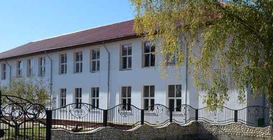 Liceul Tehnologic Topoloveni Liceul Tehnologic Topoloveni proiect campus