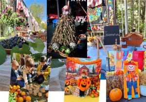 Sursă foto: FB Primăria Orașului Mioveni