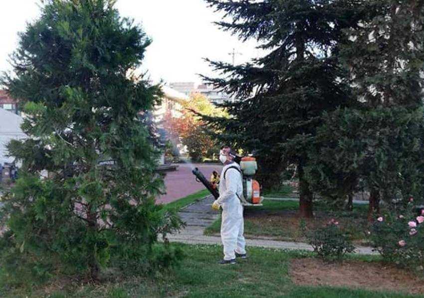 Sursă foto: FB Primăria MUnicipiului Pitești