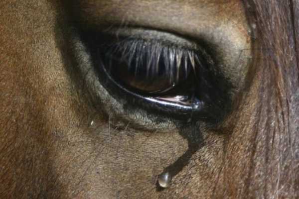 c_2ee5affd8082fc6218395410de8ff9d0