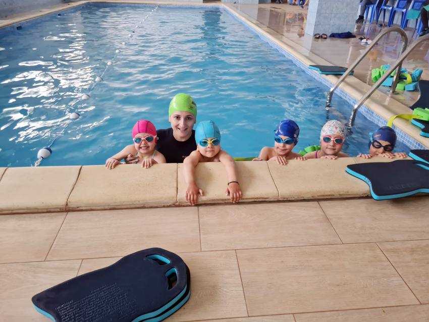 cursrui inot Bradu cursrui inot Bradu