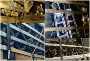 În primele nouă luni din 2024, cantitatea de deșeuri descoperite la graniță a crescut cu peste 63% 11 page - În primele nouă luni din 2024, cantitatea de deșeuri descoperite la graniță a crescut cu peste 63%