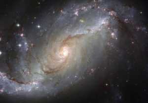 Sursă foto: pexels.com